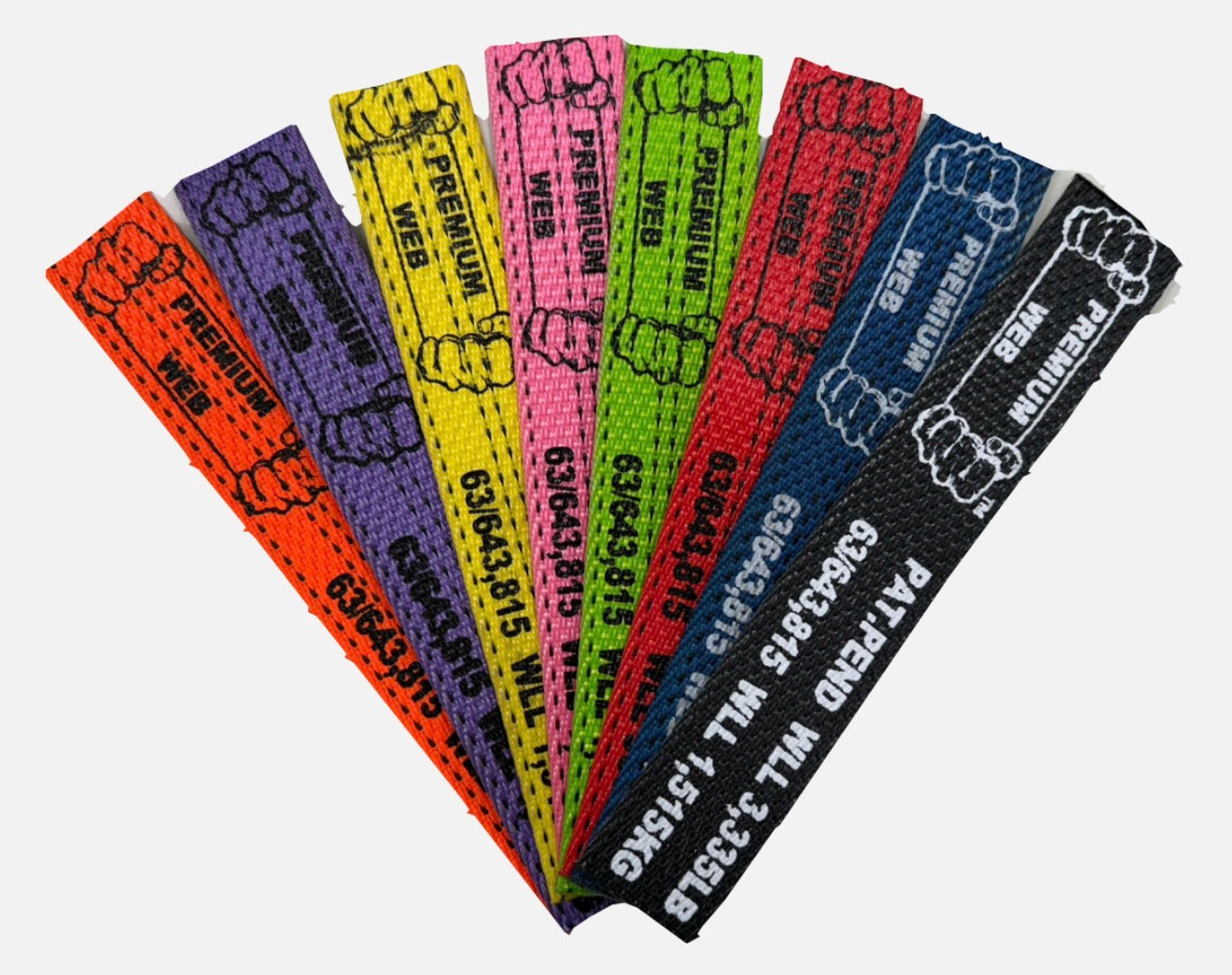 2" X 10' PREMIUM WEB Finger Hook Wheel Lift Strap