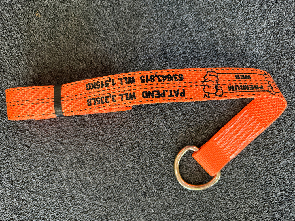 2" X 10' PREMIUM WEB Steel D Ring Lasso Strap