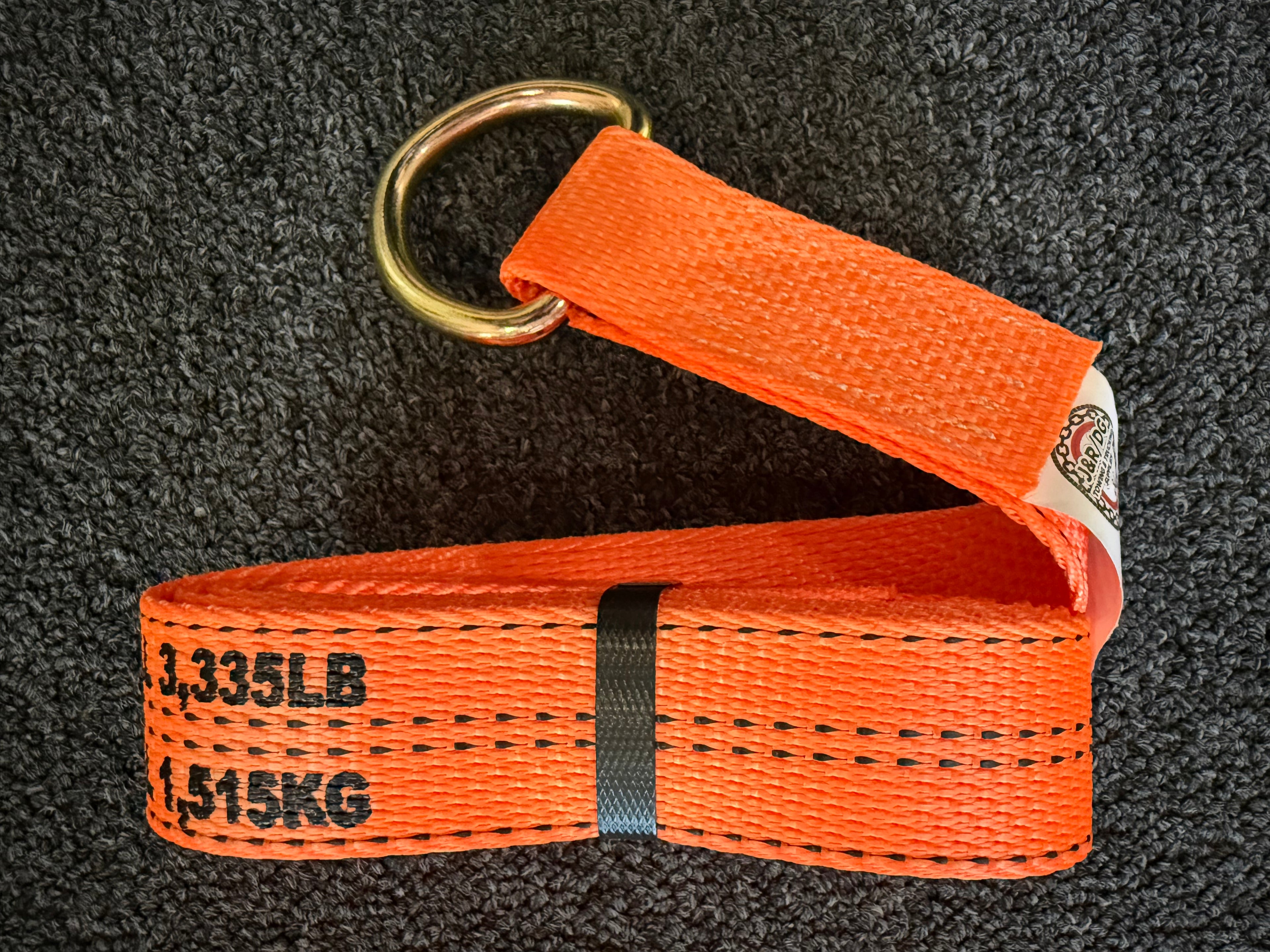 2" X 10' PREMIUM WEB Steel D Ring Lasso Strap