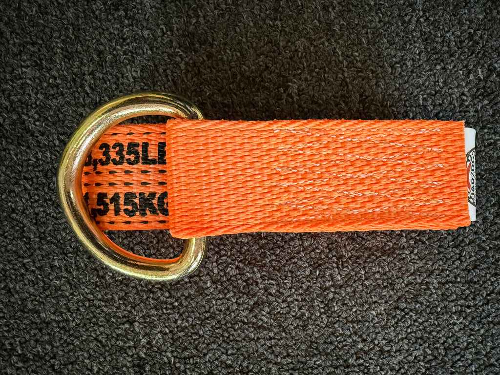 2" X 10' PREMIUM WEB Steel D Ring Lasso Strap