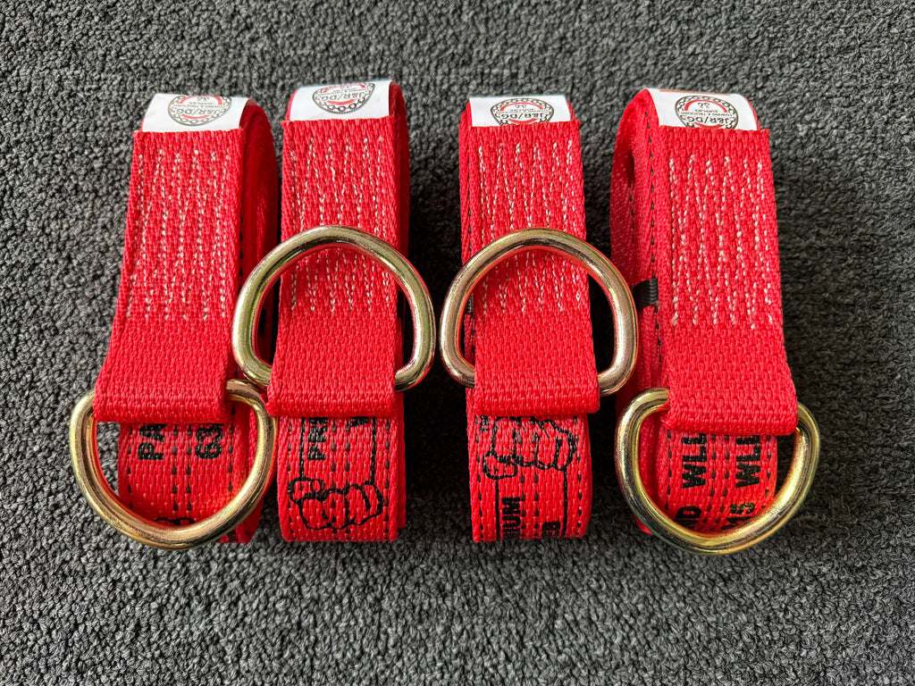 4 Pack 2" X 10' PREMIUM WEB Steel D Ring Lasso Strap